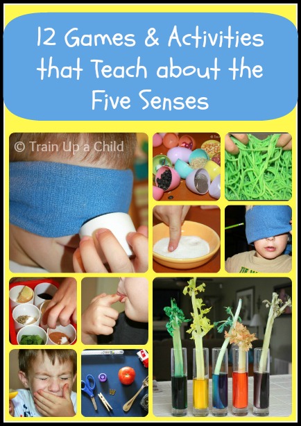 los 5 sentidos